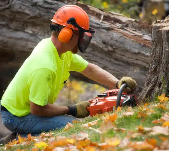 tree services Munfordville